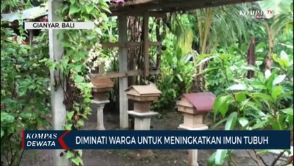 Berkah Peternak Kele-Kele Di Masa Pandemi