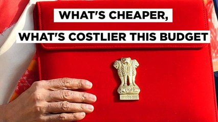 Budget 2021 Gold, Electricity Get Cheaper, But Get Ready to Pay More For Fuel, Alcohol & Mobiles