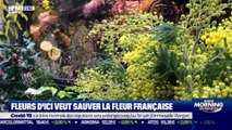 Impact : Fleurs d'Ici veut sauver la fleur française, par Cyrielle Hariel - 02/02