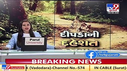 Ahmedabad_ Forest officials set trap as speculation of leopard's presence in Vastral, grows_ TV9News