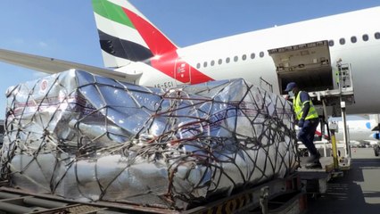 Emirates to make daily Covid vaccine deliveries to developing countries