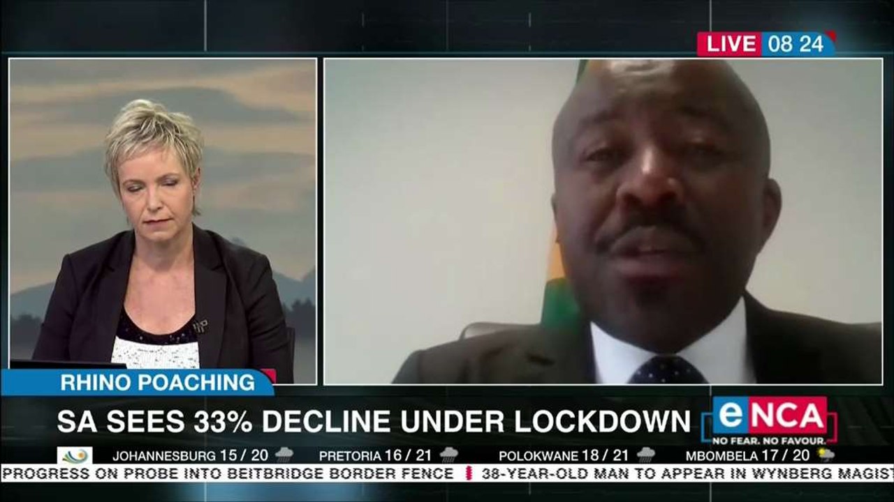 SA sees 33% decline in Rhino poaching