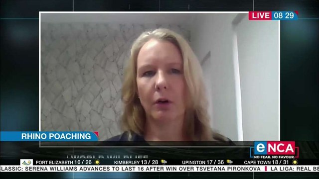 World Wildlife Fund happy with decline in Rhino poaching