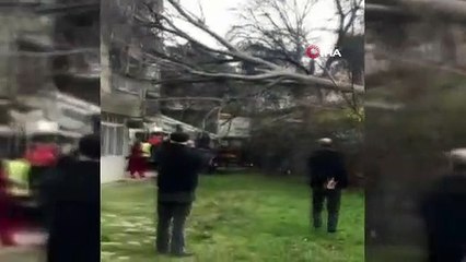 Bursa’da lodostan devrilen ağaç otomobilin camına ok gibi saplandı