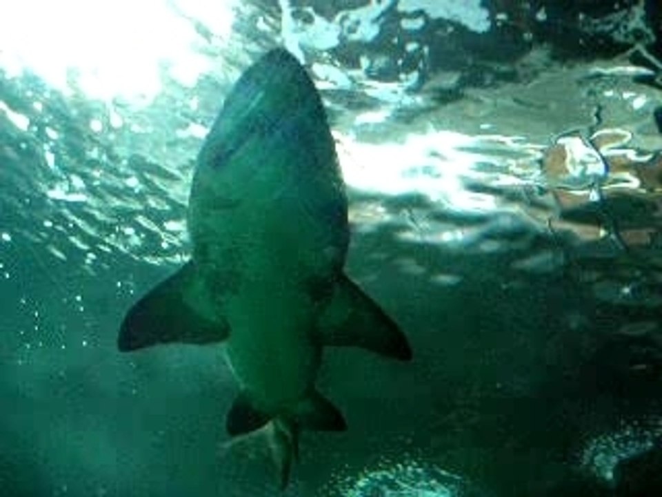 DSCN1122