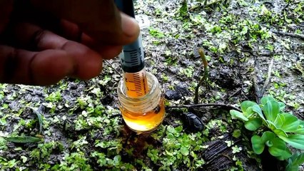 Fishing skills | Unique Fishing ideas and techniques | CreativeVilla.