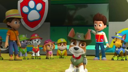 Paw Patrol - S 03 E 15 - Tracker Joins the Pups!