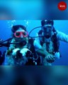 This Tamil Nadu couple went 60 feet underwater to tie the knot