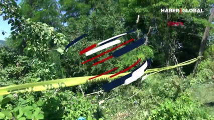 Budanan ağaç için kardeşi ve yeğenini öldürdü!