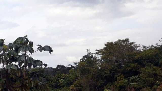 Airbus A321 PT-MXB na aproximação final antes de pousar em Manaus vindo de Brasília