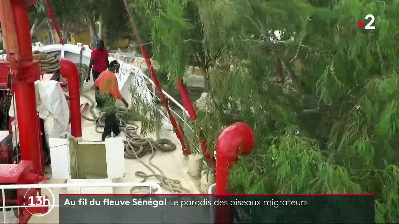 Découverte : à la rencontre d'une faune inoubliable, sur le lac Sénégal