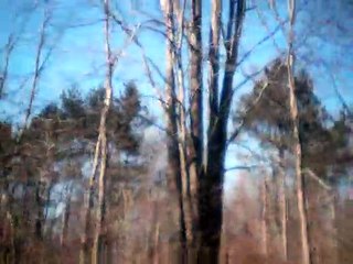 Ouvre Ton Coeur (open thy heart)