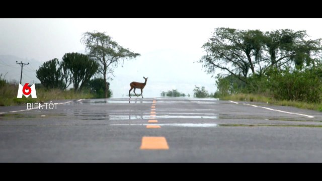 Pékin Express : Le teaser de la saison 14