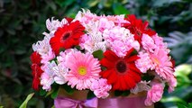 bd-arreglos-de-flores-para-este-14-de-febrero-020221