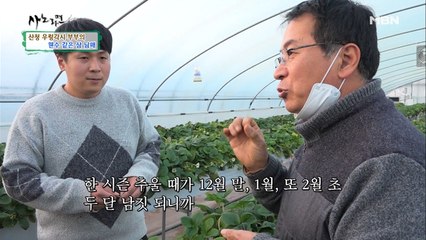 앉으나 서나~ 자식 생각~♬ 산청 우렁각시 부부의 속마음