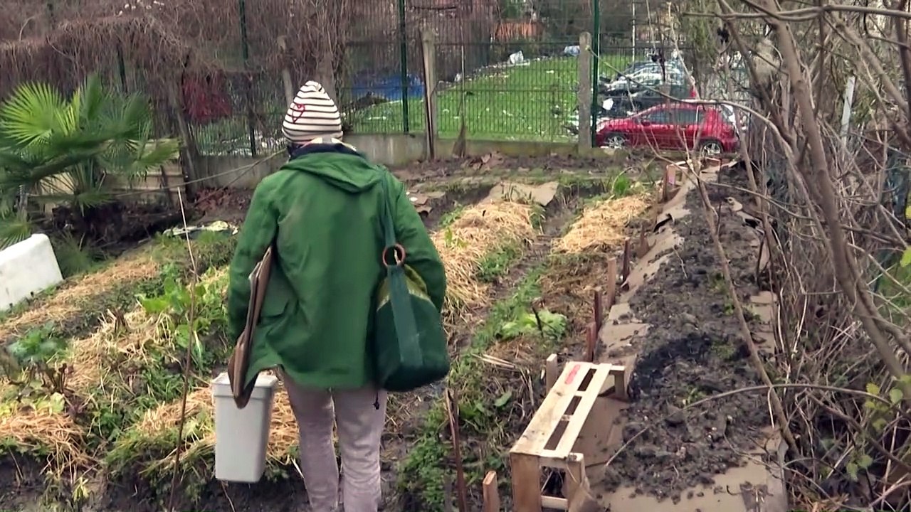 JO-2024: en Seine-Saint-Denis, des jardiniers en colère contre un projet de centre aquatique