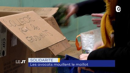 Avocats, Musée résistance, Condition animale, Léa Palermo - 2 FEVRIER 2021