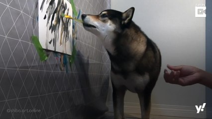 Malender Hund macht sein Herrchen reich!