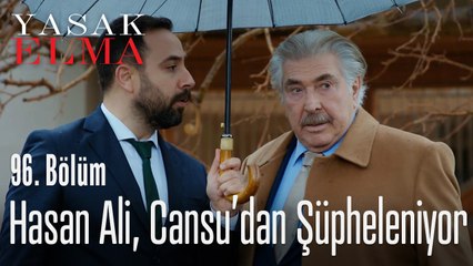 Hasan Ali, Cansu'dan şüpheleniyor - Yasak Elma 96. Bölüm