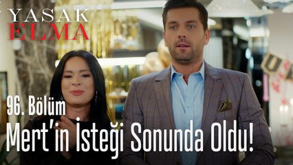 Zehra hisselerini Mert'e devretti - Yasak Elma 96. Bölüm