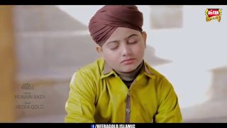 New Naat 2019 - Rao Ali Hasnain - Haal e Dil - Official Video - Heera Gold(360P)