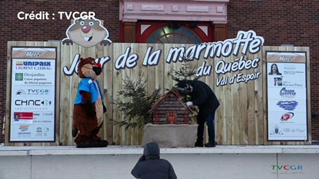 Fred la marmotte prédit un printemps hâtif