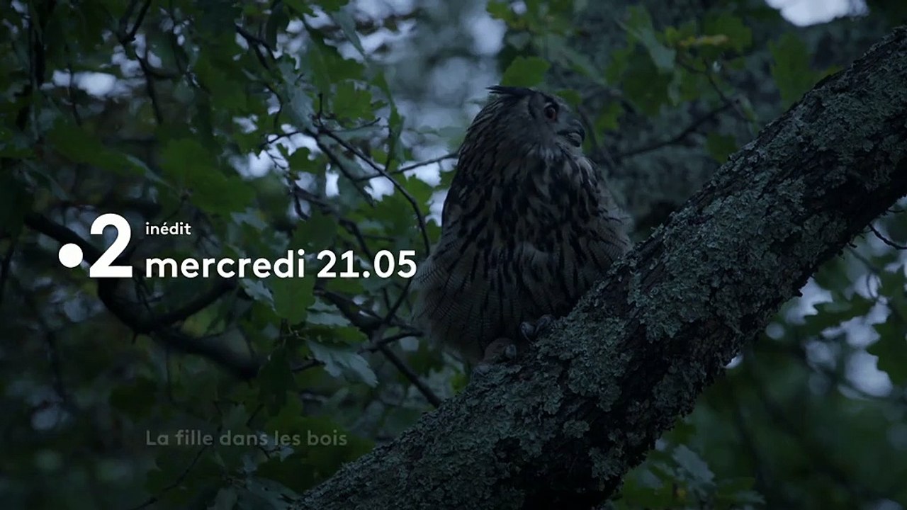LA FiLLE DANS LES BOIS  - Bande annonce 2021 France 2 - Bulles de Culture