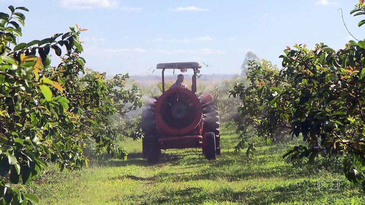 El año 2020 bate records de liberación de agrotoxicos y componentes industriales en Brasil