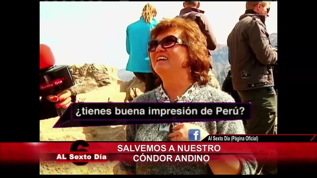 Salvemos a nuestro cóndor andino: el príncipe de los cielos en peligro