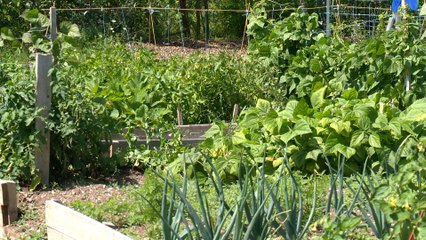 Une école d’agriculture pourrait voir le jour à Percé