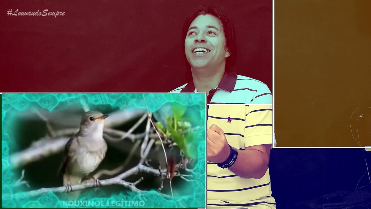 TENHO