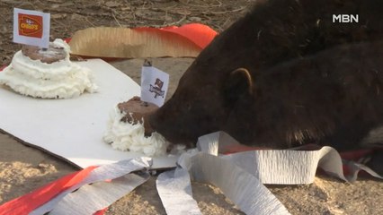 [굿모닝월드] 슈퍼볼의 승자는 누구?