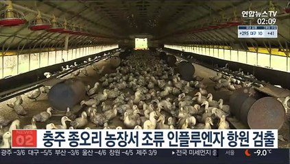 충주 종오리 농장서 조류 인플루엔자 항원 검출