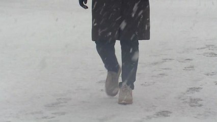 [날씨] 입춘대설, 퇴근길부터 눈...서울 대설 예비특보 / YTN