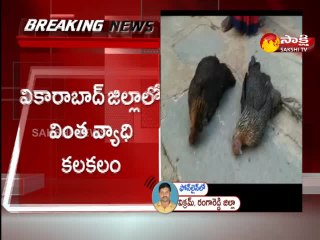వికారాబాద్ జిల్లాలో వింత వ్యాధి కలకలం