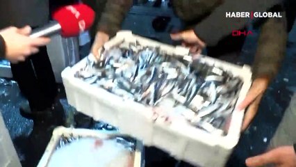 İstanbul Boğazı'nda av yasağı kalktı, ilk hamsiler hale geldi