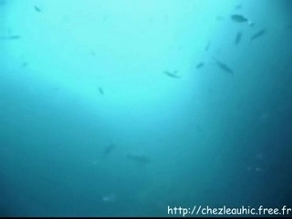 Plongee_video_estartit_espagne