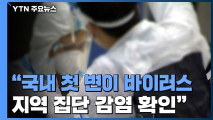 "국내 첫 변이바이러스 지역 집단 감염 확인" / YTN