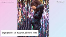 Shy'm maman : première photo de son fils... une mini-crevette parfaitement dissimulée !