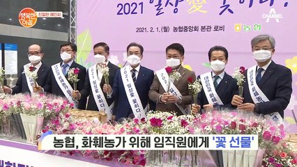 [친절한 예인씨] 농협, 화훼농가 위해 임직원에게 '꽃 선물'