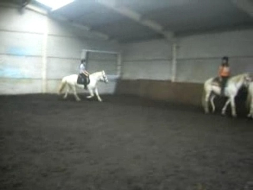 Photo 085