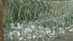 Barbed wire at Ghazipur border, locals face problem