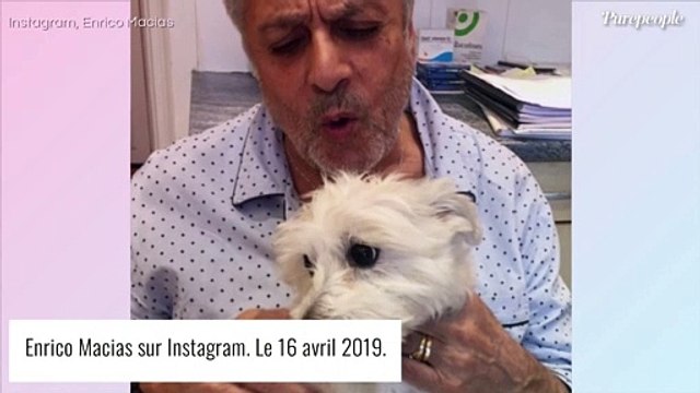 Enrico Macias a sauvé la vie d'une petite fille de 4 ans, née avec 4 tumeurs au cerveau