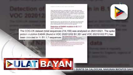 #UlatBayan | Panibagong mutation ng UK coronavirus variant, posibleng ‘di na malabanan ng bakuna ayon sa isang pag-aaral