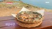 [TASTY] salted anchovies in Namhae City, 생방송 오늘 저녁 20210203