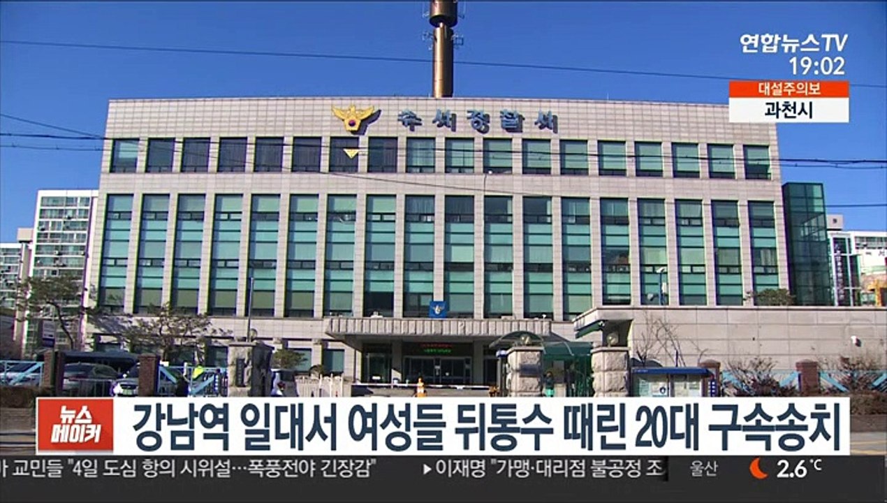 강남역 일대서 여성들 뒤통수 때린 20대 구속송치
