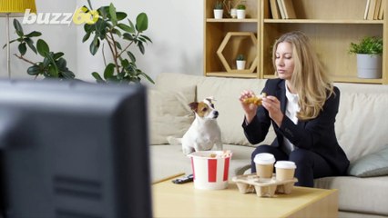 Americans Will Put Up With a Lot from Their Pet