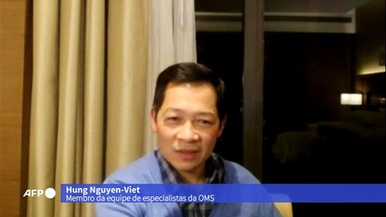 Especialistas visitam Instituto de Virologia de Wuhan