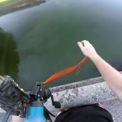 Bowfishing from a dam