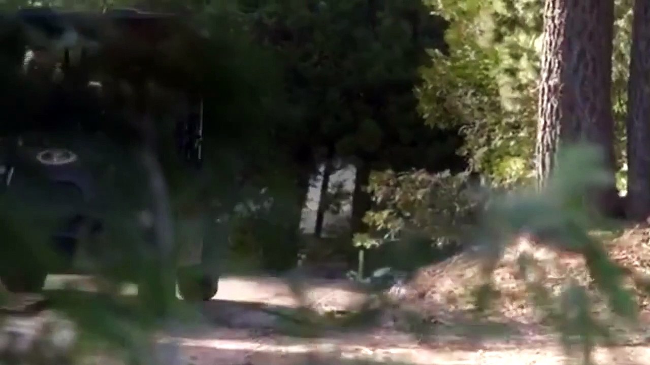 Veep - S 05 E 08 - Camp David